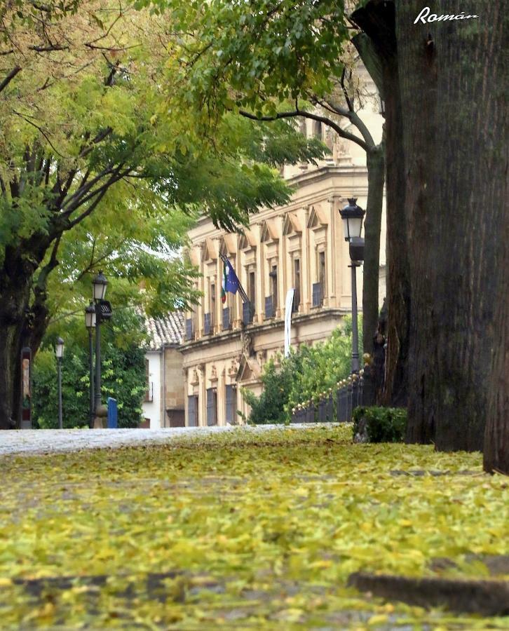 La Casa Del Alfarero - Premio Andalucia De Artesania Villa Ubeda  Bagian luar foto